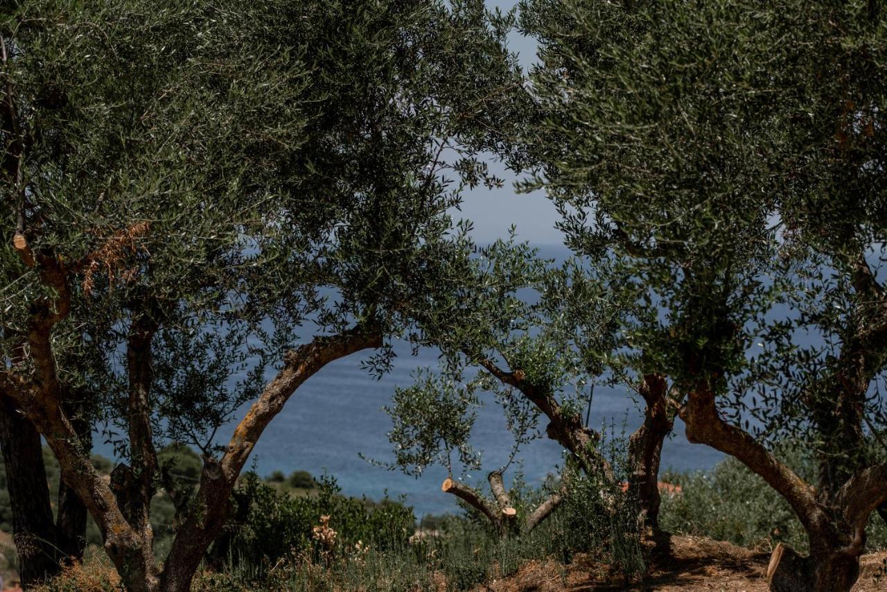 Cossoro Villas Zakynthos Xirokástellon Buitenkant foto